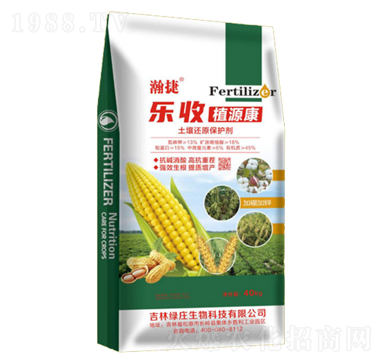 ����߀ԭ���o��-����ֲԴ��-���A��