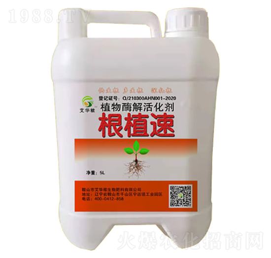 ֲ��ø����-��ֲ��-���A��