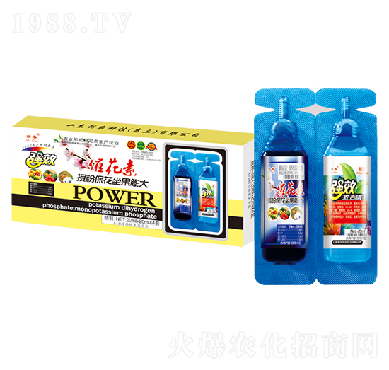 �߻����ڷ۱����������-��-���r