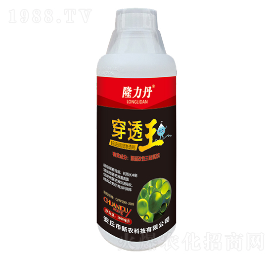 ����(j��)��(r��n)��B͸��-��͸��-���r(n��ng)