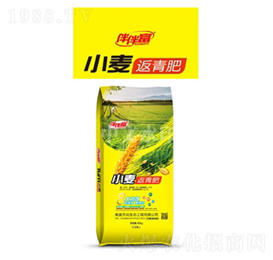 С�������-��鸻-���r(n��ng)����