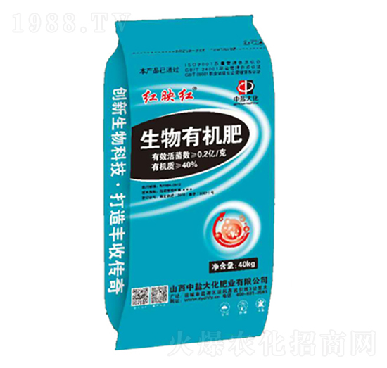 �����ЙC(j��)��-�tӳ�t-���}��