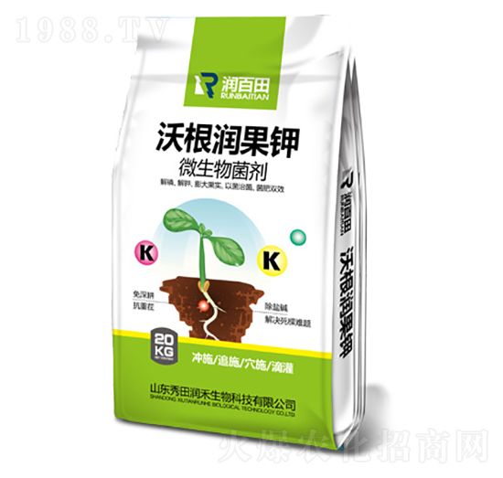 20kg�ָ������-�����