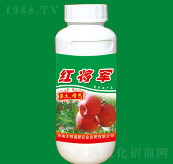 �t��܊-������ɫ-�����