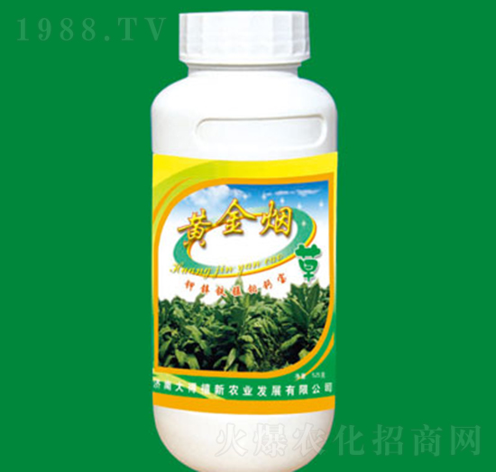 ��\�F�i�f�}��-�S��-�����