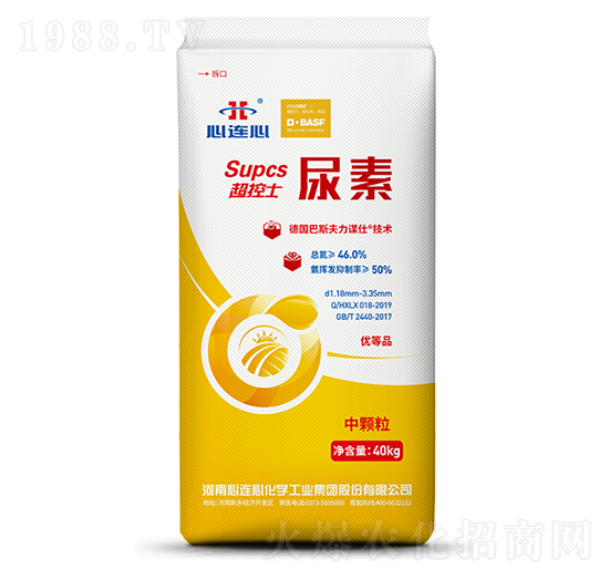 ����ʿ����-���B��