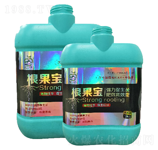 ������-�ٴ�