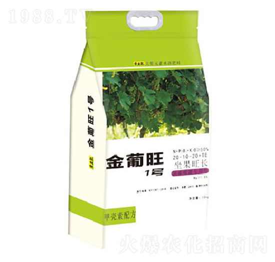 ������1̖(h��o)-�����