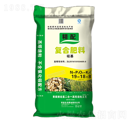 �������ø����ͺϷ�19-18-8-����-�����