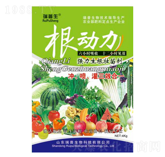 ������-��������