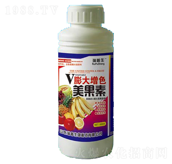 �����ɫ������-��������