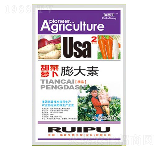 ����}�������-��������