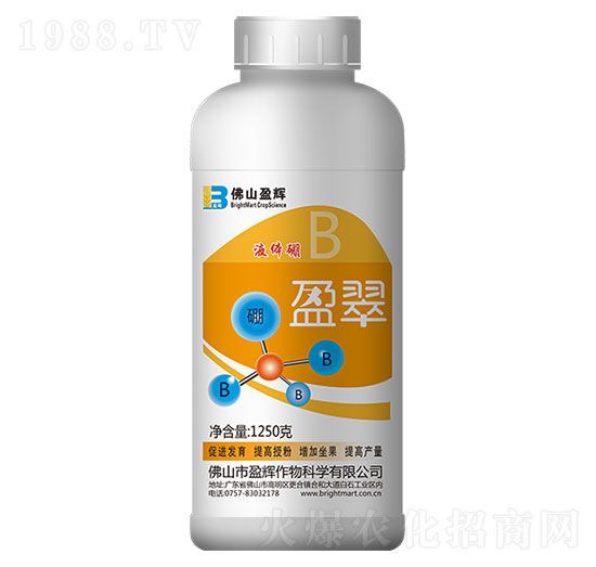 1250g���w��-ӯ��-ӯ�x