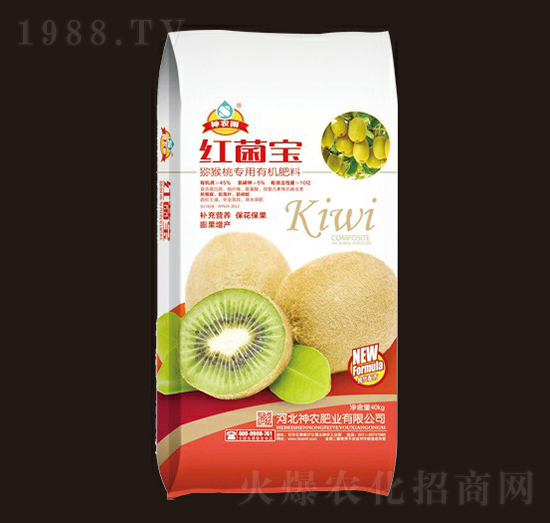 �J���Ҍ����ЙC(j��)����-�t�������r(n��ng)��-���r(n��ng)�ʘI(y��)