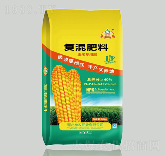 ���׌�(zhu��n)�Ï�(f��)�����28-6-6-���r(n��ng)�ʘI(y��)