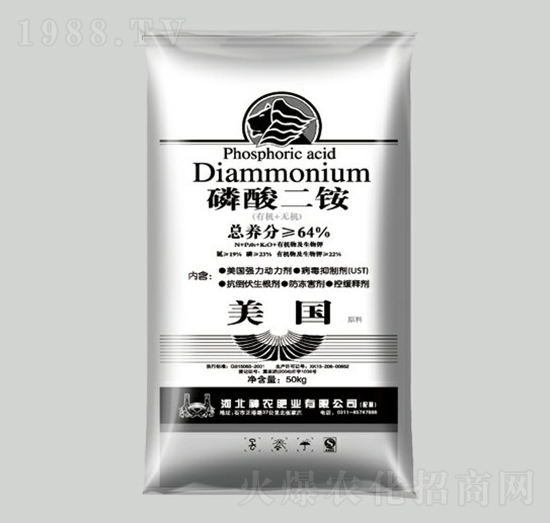 ������@-���r�ʘI(y��)