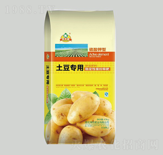 �������Ó������-���r(n��ng)�ʘI(y��)