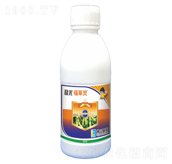 250��ÿ�����ǰ�����-�Թ⸣���`-ӯ�x