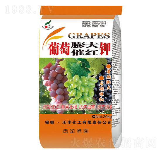 �������߼t�-���S