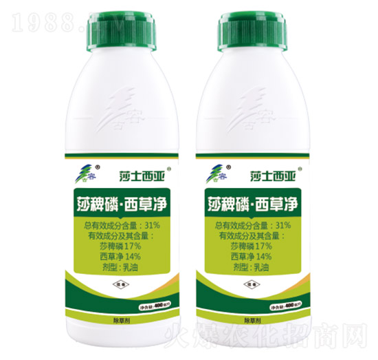 31%ɯ���ס����݃�-ɯʿ����-����