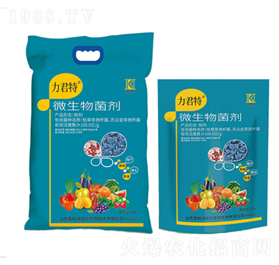 ΢�������-������-��������