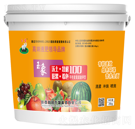 ���100-�Ɲ�����