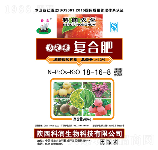 ������͓������18-16-8-�Ɲ�����