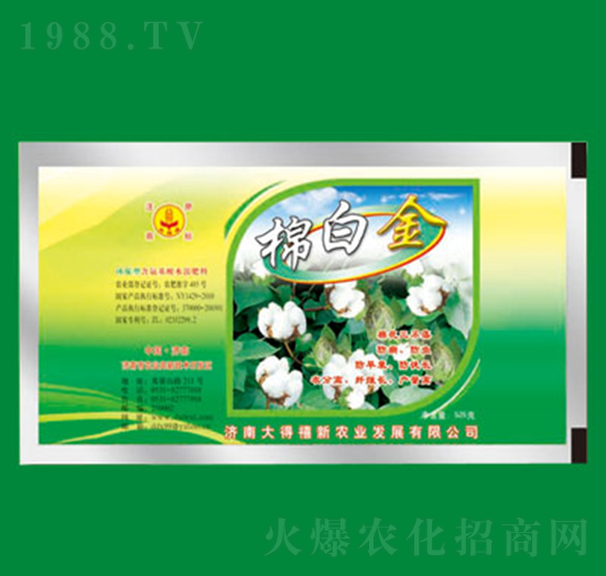 �ް׽�-�����