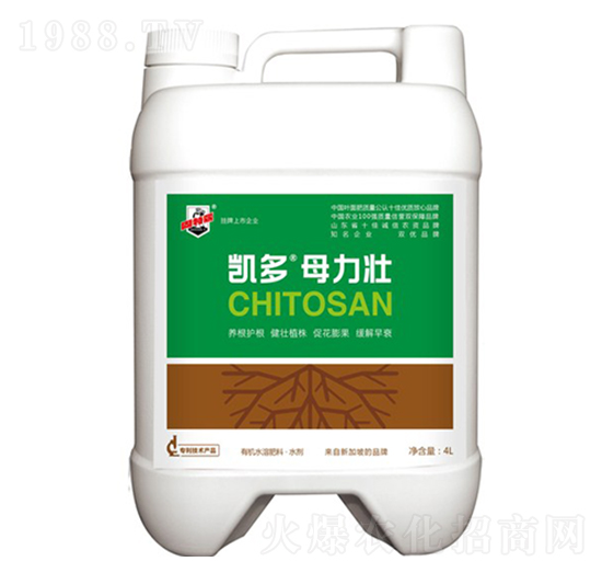 �P��ĸ����-������