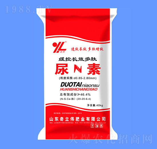 �����L(zh��ng)Ч��������-������