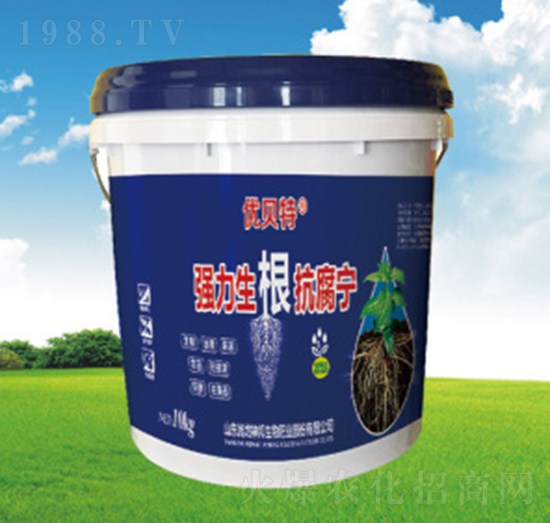 ��������������-�������