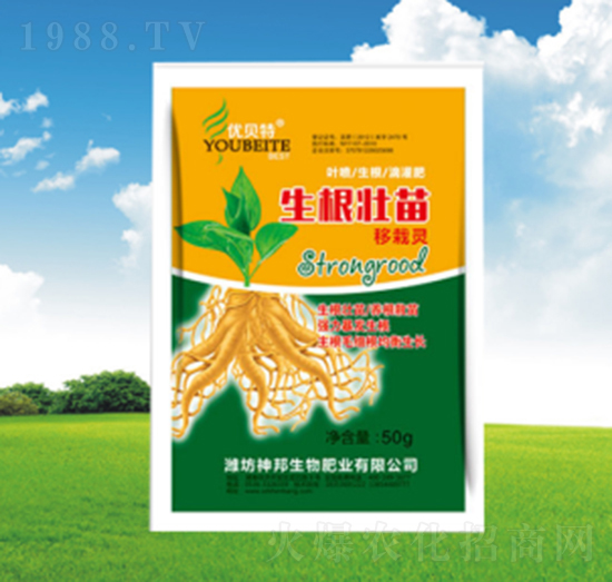 �������������`-�������