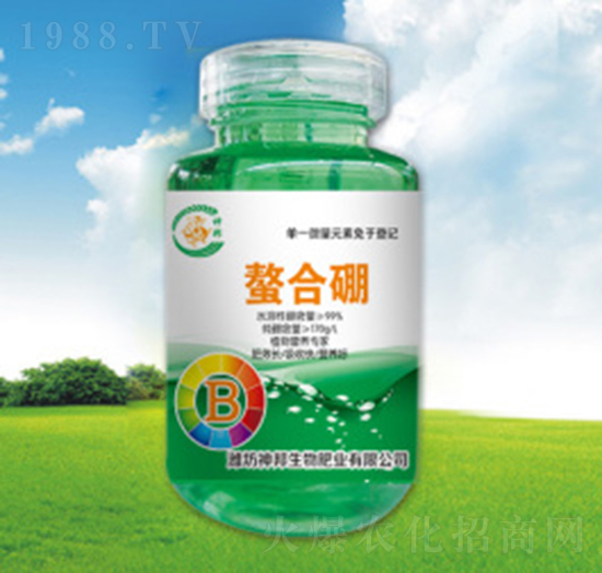 �������-�������