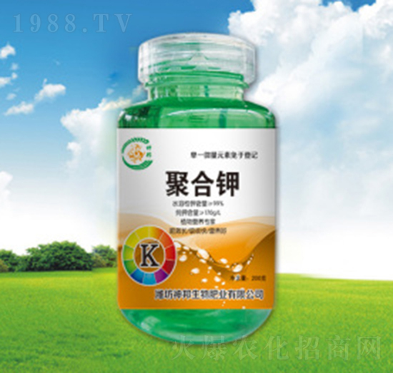 �ۺ��-�������