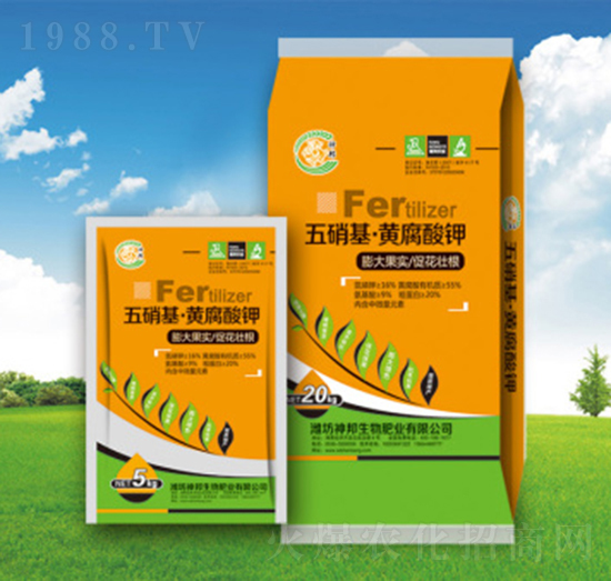 ������-�S�����-�������