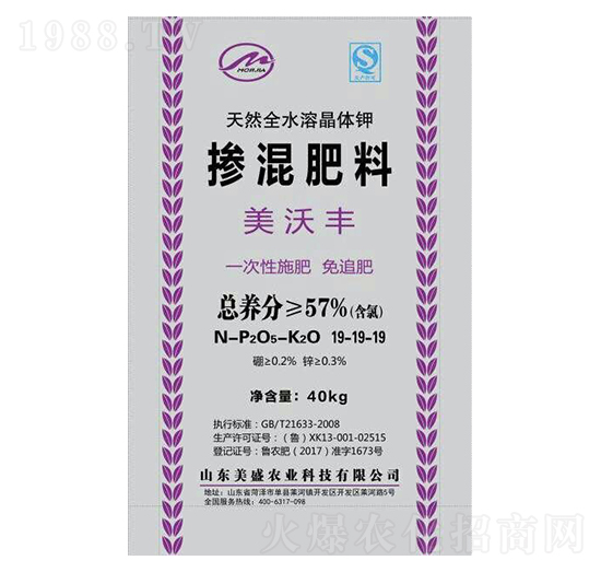 �������19-19-19-��ʢ�r(n��ng)�I(y��)