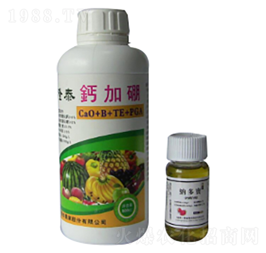 �}����-¡̩�r(n��ng)�I(y��)