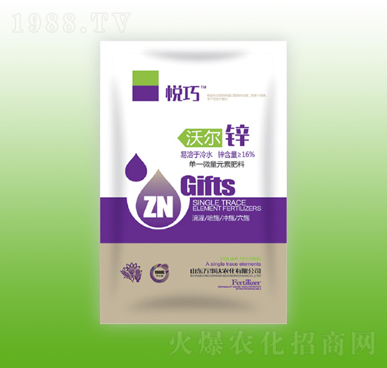 �֠��\-����-�f���_(d��)