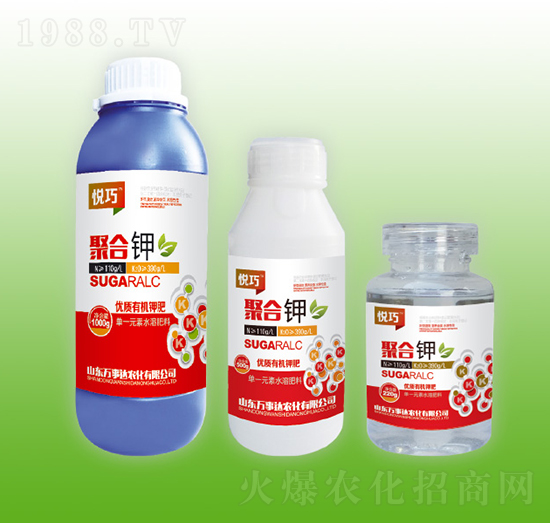 �ۺ��-����-�f���_(d��)