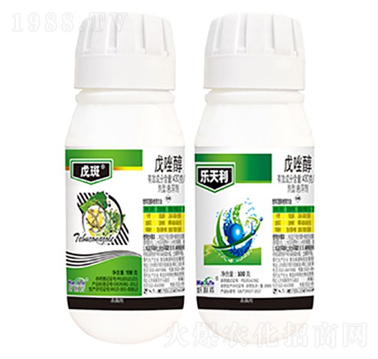 430��ÿ������-��ߘ�����-����������