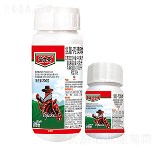 440��ÿ�����衤������-�ƾŚ�-����������