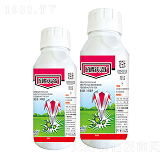 10��x��-���������`�D-����������