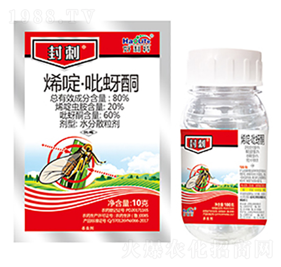 80%ϩड�����ͪ-���-����������