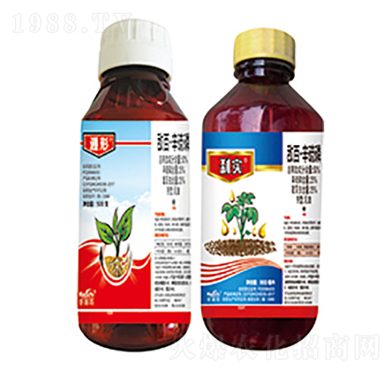 50%���١�������-����+�x��(sh��)-����������