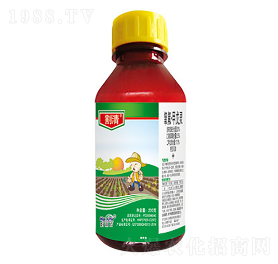 20%�����������`-����-����������