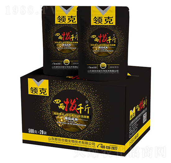 �I���ăɓ�ǧ��-(li��n)��(chu��ng)�r(n��ng)�I(y��)