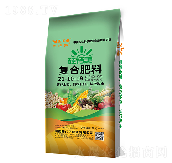 ���}����(f��)�Ϸ���21-10-19-�����_-�_�T��