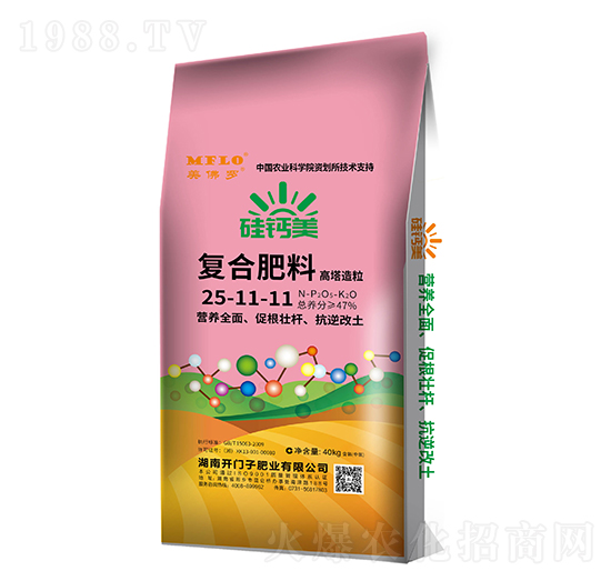 ���}����(f��)�Ϸ���25-11-11-�����_-�_(k��i)�T��