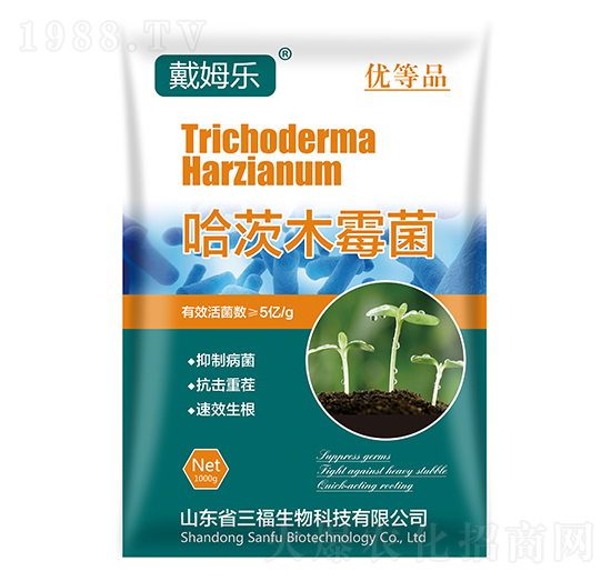 ����ľù��-��ķ��-��������