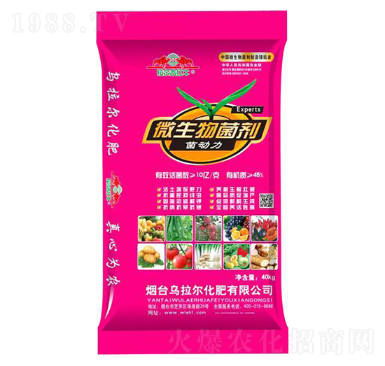 ΢�������-����(d��ng)��-������